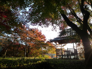 画像 268.jpg